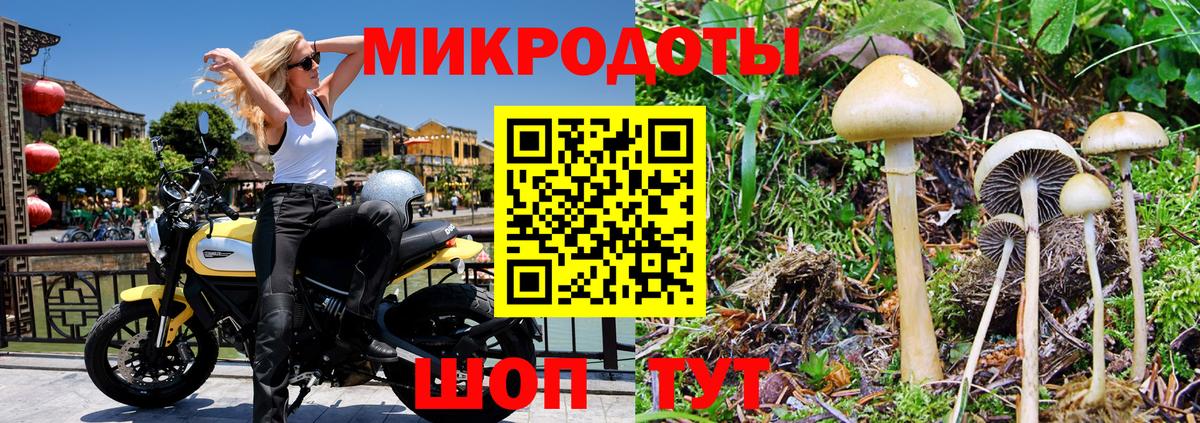 Галлюциногенные грибы Psilocybine cubensis  Вход с VPN  Куйбышев 