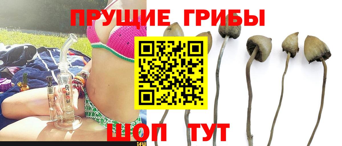 Псилоцибиновые грибы мухоморы Куйбышев